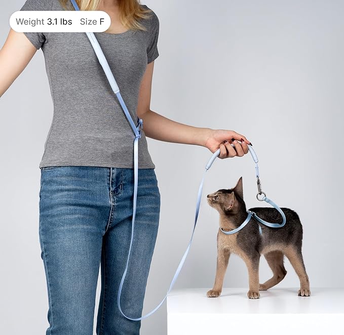 Cat Harness and Leash Set, Lightweight Escape Proof Cat Harness Leash with Padded Handle, Adjustable Cat Leash and Harness for Kitten Small Large Cats Walking Training (Blush Pink, L)