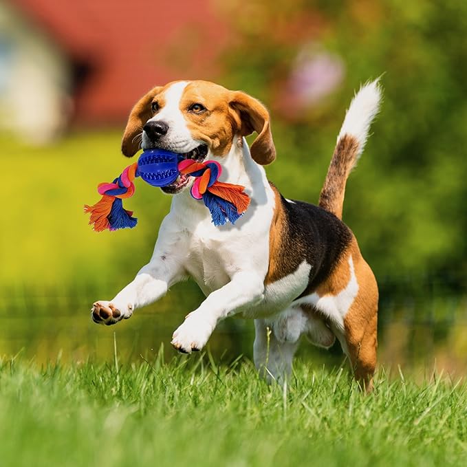 Small Puppy Toys - Puppy Teething Toys, Chew Toys for Dogs, Small Dog Rope Toys, Treat Dispensing Dog Toys for Puppy Training and Dental Health, Ideal for Dog Owners