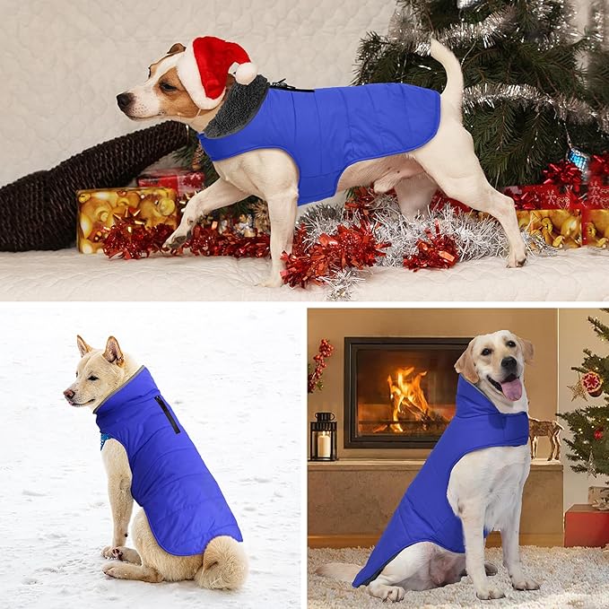 Dog Winter Coat, Waterproof Dog Jacket with Leash Hole, Reflective Adjustable Pet Snow Vest, Warm Fleece Sweater for Small Medium Large Dogs - Blue, M