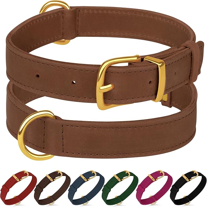 Leather Dog Collar - Heavy Duty Adjustable Soft Padded Pet Collars for Small Medium Large Dogs Breed - Black Green Brown Pink Red Blue (Cognac, XL, 19"-24" Neck Fit)