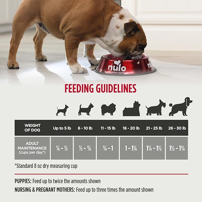 Nulo Freestyle Small Breed Dog Food, Premium Adult and Puppy Grain-Free Dry Smaller Sized Kibble Food, with BC30 Probiotic for Healthy Digestion Support, 6 Pound (Pack of 1)