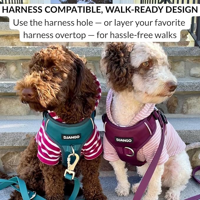 DJANGO Dog Hoodie – Warm, Lightweight, Soft & Stretchy Dog Sweater with Hood, Harness Hole & Elastic Waistband – Cozy Sweatshirt for Small Dogs up to 25 lbs, Dachshunds & Puppies – Blush Pink, Small