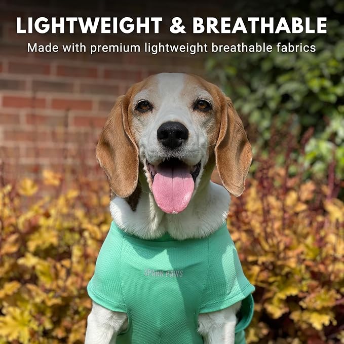 Spark Paws Sunblock Dog T-Shirt, SPF30 Protection, Lightweight Breathable Quick Dry for Dogs with Sensitive Skin - Blue & Mint (Set of 2) - 5XL