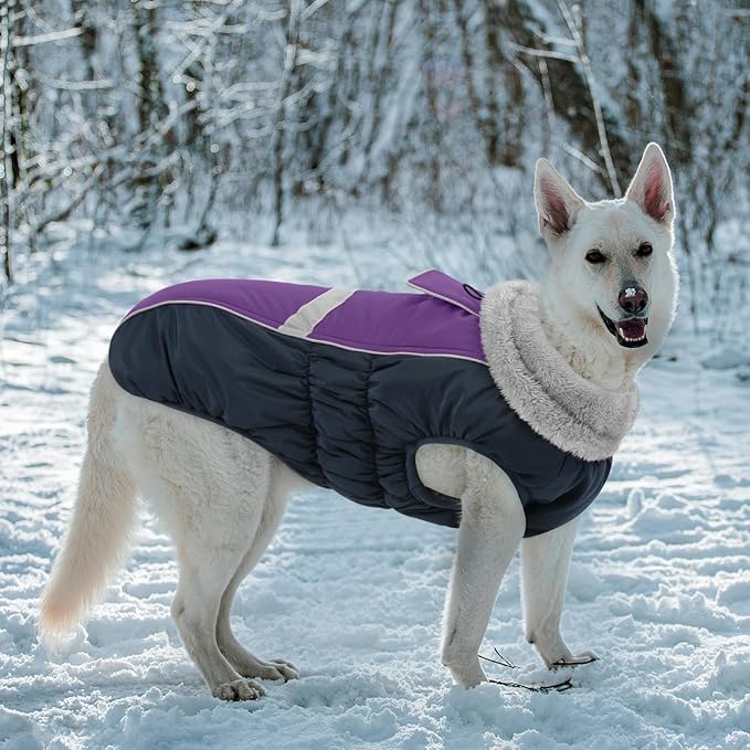 Queenmore Warm Fleece Dog Jacket - Cold Weather Waterproof Snow Coat With Leash Hole, Reflective Turtleneck Snowsuit for Small Medium & Large Dogs (Purple, 2XL)