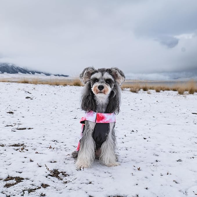 GMF29M Winter Dog Coat - Waterproof & Windproof Jacket, Reversible Vest, Thick Soft Coats for Small, Medium & Large Dogs, with Leash Hole