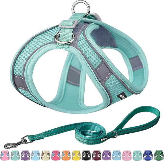 AIITLE Dog Harness, Summer No-Pull Cat Harness with a Leash, Adjustable Reflective Dog Vest, Cat Harness Escape Proof, Outdoor Walking, Camping for Extra Small Dogs and House Cats Pure Turquoise XXXS
