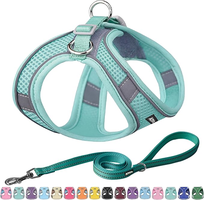 AIITLE Small Harness for Puppy with A Leash - Summer Dog Vest Harness with Super Breathable Mesh, Reflective No-Pull Pet Harness for Outdoor Walking, Camping for Small Dogs, Cats Pure Turquoise XXS