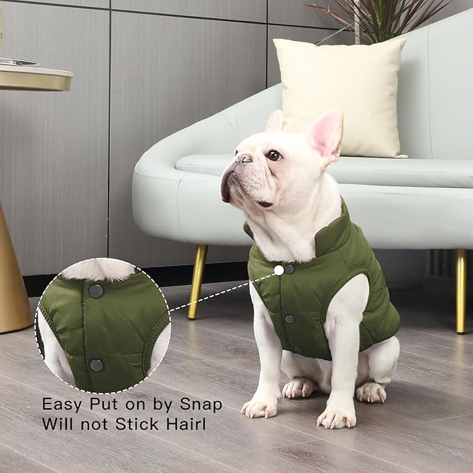 2 Layers Fleece Lined Warm Dog Jacket for Puppy Winter Cold Weather,Soft Windproof Small Dog Coat,Green XS