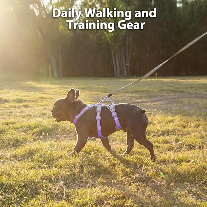 Huntboo Escape Proof Dog Harness, No Pull Reflective Harness with Lift Handle,Adjustable Pet Vest with Front and Back Leash Clips for Small Medium Large Dogs Walking Hiking Training(Lavender Purple,L)