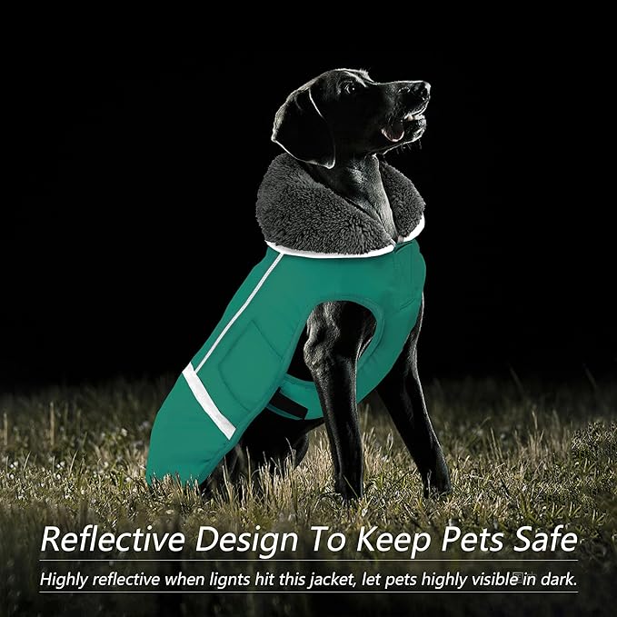 Dogcheer Warm Dog Coat, Waterproof Dog Jacket Christmas Puppy Winter Coat with Buckle, Reflective Adjustable Pet Snow Jacket Turtleneck Fleece Sweater for Small Medium Large Dogs - Pine Green, M