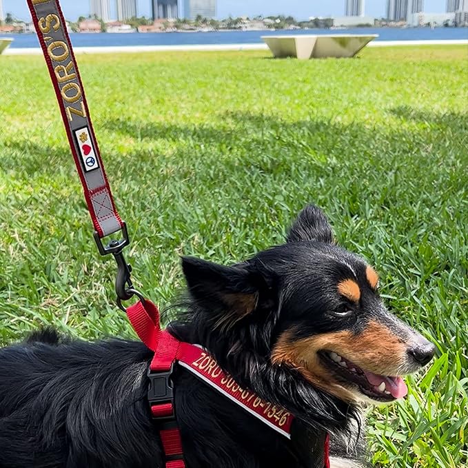 Pawtitas Personalized Dog Leash - Embroidered Custom Name & Phone Number, Reflective, 6 ft Long, Small, Purple Custom Tag