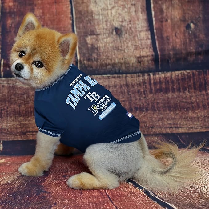 MLB Tampa Bay Rays Dog T-Shirt, Large. - Licensed Shirt for Pets Team Colored with Team Logos. - Premium Stretchable Materials for The Comfort of Your Dog & cat.