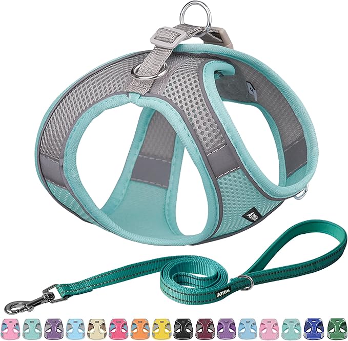 AIITLE Dog Harness, Summer No-Pull Cat Harness with a Leash, Adjustable Reflective Dog Vest, Cat Harness Escape Proof, Outdoor Walking, Camping for Extra Small Dogs and House Cats Turquoise XXXS