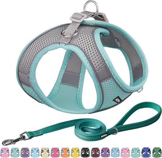 AIITLE Step in Dog Harness and Leash Set - Summer No Pull Escape Proof Vest Harnesses with Soft Mesh and Reflective Bands, Adjustable Pet Outdoor Harnesses for Small and Medium Dogs Turquoise M