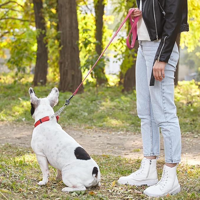 Dogline Biothane Waterproof 6ft Dog Leash Strong Coated Nylon Webbing with Black Hardware Odor-Proof Easy to Clean High Performance for Small or Large Dogs Made in USA 6ft Lead, Passionfruit Pink