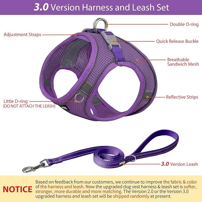 AIITLE Comfortable Dog Harness and Leash Set for Walking - Summer Step in Vest Harness,Reflective Bands, Adjustable No Pull Puppy Essentials, for Small Dogs and House Cats Pure Purple XS