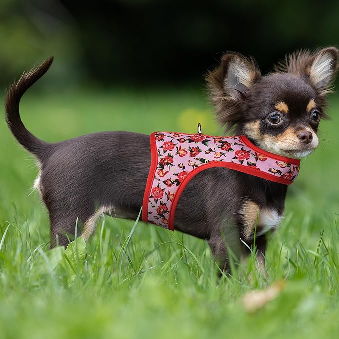 Mile High Life Velcro Dog Harness, Air Mesh Floral Vest Harness for 20 lbs Small Dogs & Cats, Easy Get on Adjustable Easy Closures Both Neck and Chest(Peony Rose, XS Chest 14"-16")