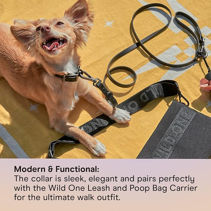 Wild One Dog Collar, The Original Easy-Clean, All Weather Flex-Poly Strap with Metal, Durable, Dirt and Odor Resistant, Size XS, Black