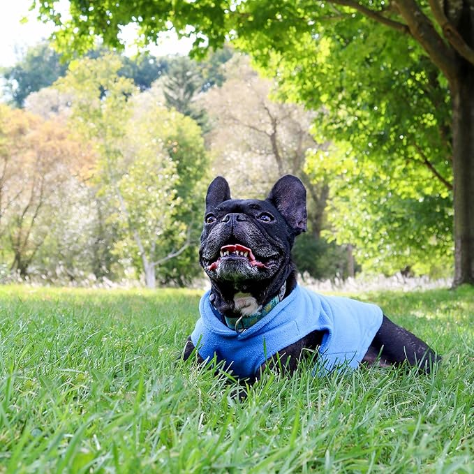 JACKO & CO - Fleece Vest Dog Sweater with Leash Ring - Soft, Warm & Lightweight Pullover Coat for Small & Medium Dogs, Puppies & Cats - Cozy Fall/Winter/Spring Pet Jacket (Blue, X-Large 17-25lbs)