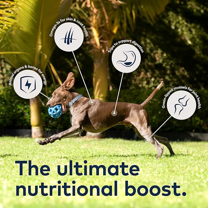 ZIWI Peak Air-Dried Dog Food – Beef - All Natural, High Protein, Grain Free, Limited Ingredient w/Superfoods (3.5oz)