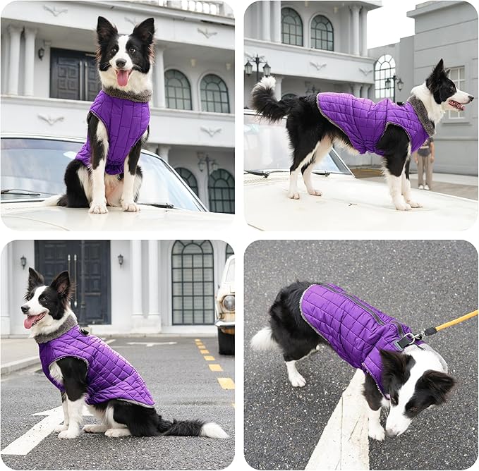 Warm Fleece Dog Coats with Durable Harness Buitl in D-Ring,Waterproof Puppy Jacket for Small Dogs,Dog Vest for Cold Winter,Purple XS