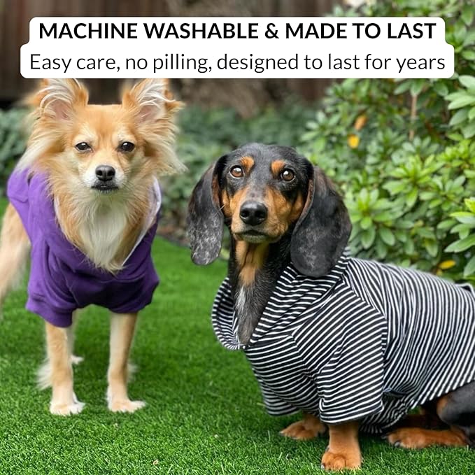 DJANGO Dog Hoodie – Warm, Lightweight, Soft & Stretchy Dog Sweater with Hood, Harness Hole & Elastic Waistband – Cozy Sweatshirt for Small Dogs up to 25 lbs, Dachshunds & Puppies – Black, X-Small