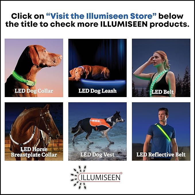ILLUMISEEN LED Dog Collar USB Rechargeable - Bright & High Visibility Lighted Glow Collar for Pet Night Walking - Weatherproof, in 6 Colors & 6 Sizes (Orange Small)