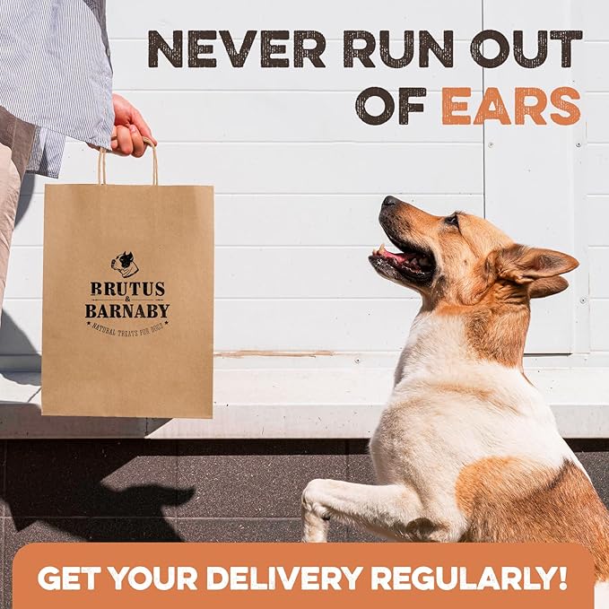 BRUTUS & BARNABY Pig Ear Halves for Dogs, 40 Ct. – All-Natural Single Ingredient Dog Chews, Slow Cooked & Fully Digestible Rawhide Alternative