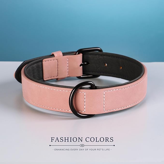 Didog Soft Padded PU Leather Dog Collar, Breathable and Adjustable Pink Dog Collars for Small Dogs, Comfortable for Daily Walk, Pink, M Fit Neck 12-15"(13-22 lbs)
