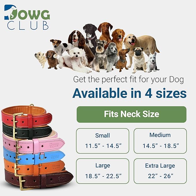 Genuine Leather Dog Collar | Full Grain, Heavy Duty, Comfortable, Padded, Strong | Best for Pups, Small, Medium, Large & XL Breeds (Large (Fit Neck Size 18.5"-22.5"), Blue)
