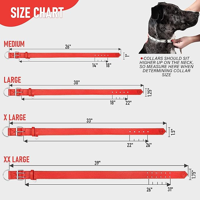 Riparo Dog Collar - Genuine Leather Dog Collars - Heavy Duty Dog Collars for Medium Large and Extra Large Dog Breeds (M: 1” Wide for 14” - 18” Neck, Red)
