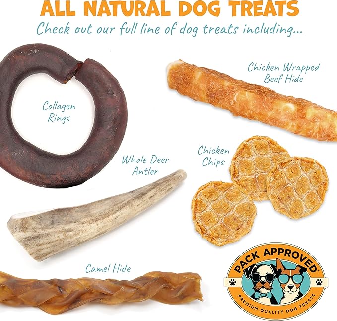 Chicken Chips - Crunchy, Single Ingredient Dog Treat -100% All Natural Chicken Breast - 4oz (Pack of 2)