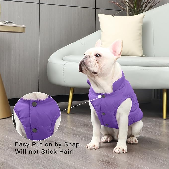 2 Layers Fleece Lined Warm Dog Jacket for Puppy Winter Cold Weather,Soft Windproof Small Dog Coat,Purple S