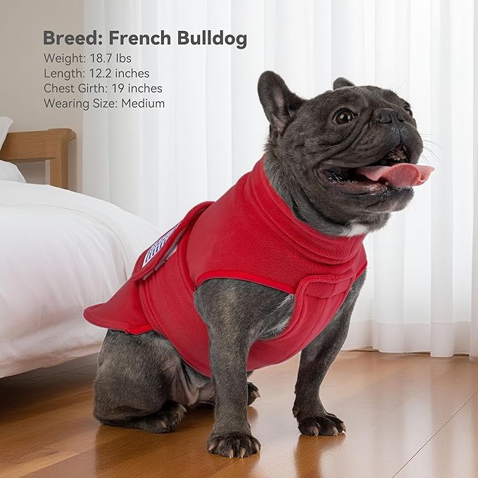 cyeollo Small Dog Sweater, Soft Fleece Sweaters Turtleneck Doggy Sweatshirt Warm Fall Winter Vest Stretchy Pet Clothes for Puppy Soft Doggie Coat Girl & Boy, Red S