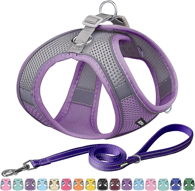 AIITLE Comfortable Dog Harness and Leash Set for Walking - Summer Step in Vest Harness,Reflective Bands, Adjustable No Pull Puppy Essentials, for Small Dogs and House Cats Purple XS