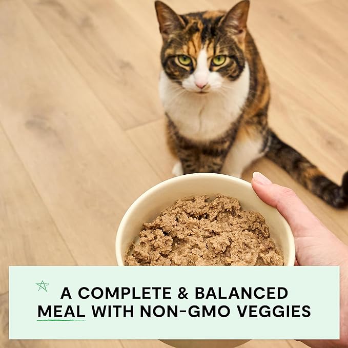 Open Farm Canned Cat Food, Pate for Complete & Balanced Nutrition, Grain Free and Legume-Free Wet Cat Food, Chicken & Beef Recipe, 2.8oz Cans (Case of 18)