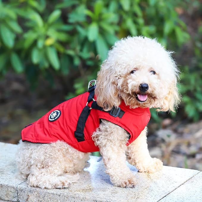 Norbi Dog Coat - Winter Jacket with Built-in Harness, Adjustable Warm Coats for Small, Medium & Large Dogs, Perfect for Cold Weather