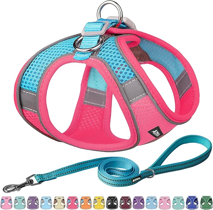 AIITLE Step in Dog Harness and Leash Set - Summer No Pull Escape Proof Vest Harnesses with Soft Mesh and Reflective Bands, Adjustable Pet Outdoor Harnesses for Small and Medium Dogs Hot Pink M