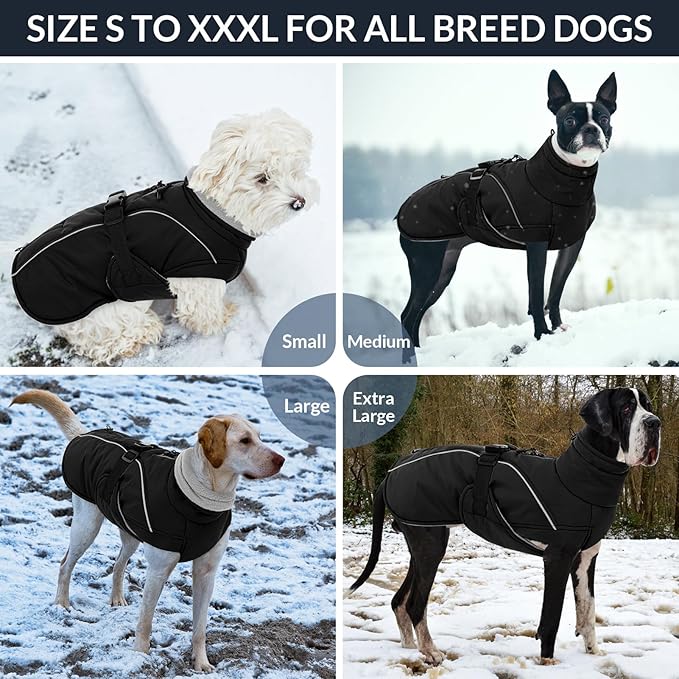Queenmore Winter Dog Coat Warm Dog Jacket Vest Waterproof Puffer Fleece Snowsuit Adjustable Buckle Leash Hole Reflective Cold Weather Parka for Small Medium Large Dogs Girl Boy Black L