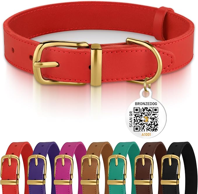 BRONZEDOG Leather Dog Collar with Metal Buckle Durable Basic Pet Collars for Small Medium Large Dogs (13-16 Inch (Pack of 1), Red & Gold Buckle)