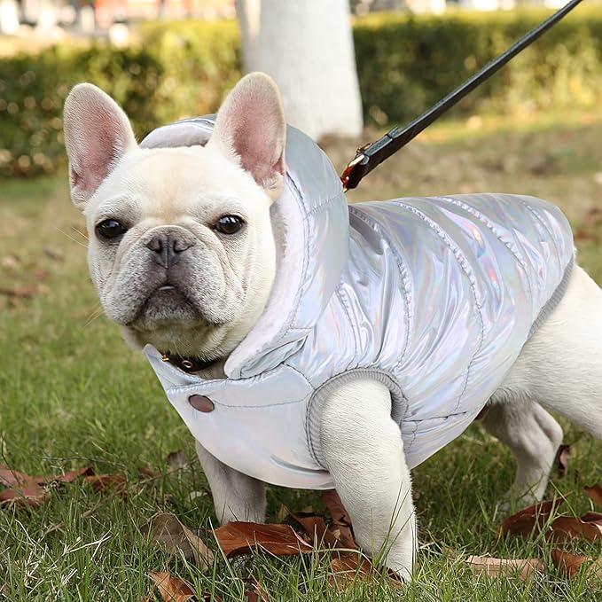 Fleece Hoodie, Windproof Waterproof Coat, Winter Warm Jacket, Cold Weather Pet Apparel Clothes Vest for Small Medium Large Dogs (3XL, Silver)