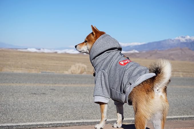 ChoChoCho Pup Dog Hoodie, Dog Sweater, Fashion Dog Clothes, Pet Clothing Cotton Cat Hoodies Stylish Streetwear Sweatshirt Gray Tracksuits Outfit for Dog Cat Puppy Small Medium Large (XL)