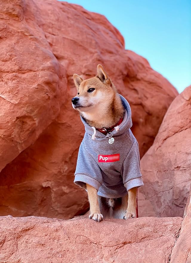 ChoChoCho Pup Dog Hoodie, Dog Sweater, Fashion Dog Clothes, Pet Clothing Cotton Cat Hoodies Stylish Streetwear Sweatshirt Gray Tracksuits Outfit for Dog Cat Puppy Small Medium Large (XL)
