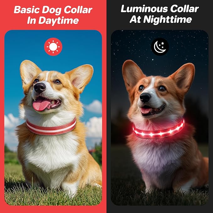 PcEoTllar Light Up Dog Collars, Led Dog Collar, Rechargeable, Night Walking, Waterproof, Glow in The Dark Dog Collars Light for Large Small Medium Dogs, Red s