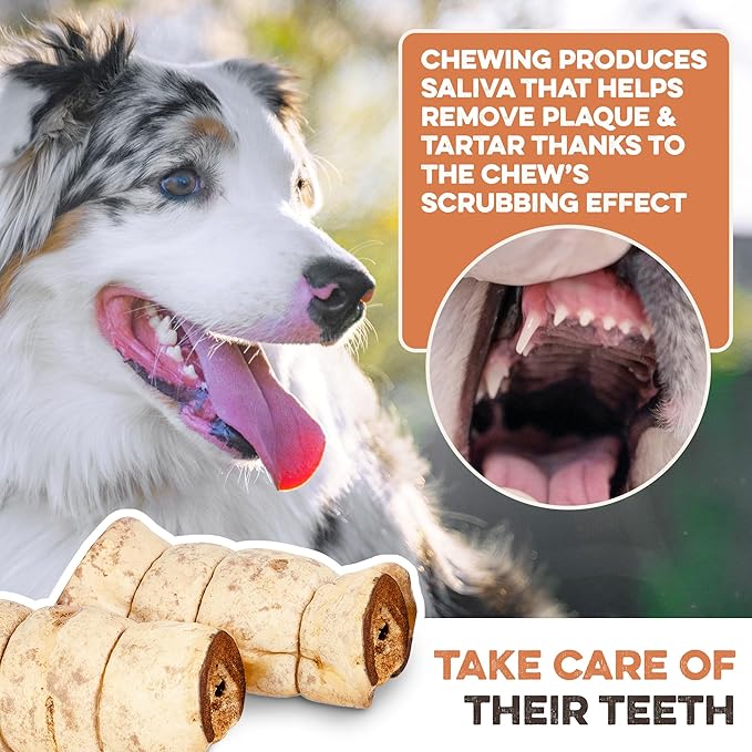 Premium Beef Cheek Rolls for Dogs 10-12" - (3-Pack), Peanut Butter Flavored Long Lasting, Safe & Natural Rawhide Alternative Chews, Ideal for Large Dogs & Aggressive Chewers, Supports Dental Health