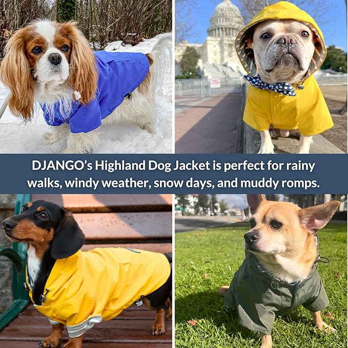 DJANGO Highland Dog Jacket & Raincoat – Water-Repellent, Lined Dog Coat with Hood, Adjustable Fit & Harness Hole – Lightweight Rain & Wind Jacket for Small & Medium Dogs up to 30 lbs (Blue, Small)