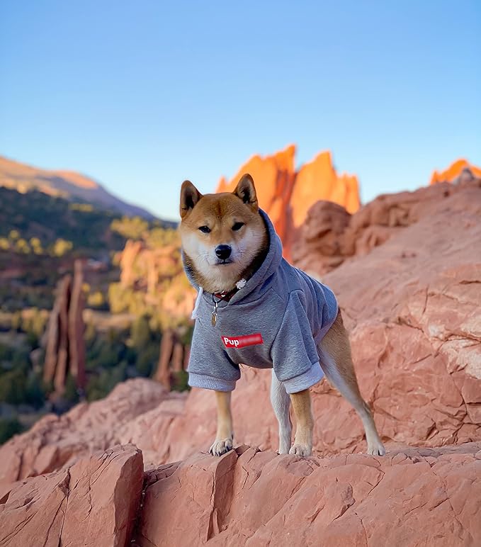 ChoChoCho Pup Dog Hoodie, Sweater, Fashion Clothes, Pet Clothing Cotton Cat Hoodies Stylish Streetwear Sweatshirt Gray Tracksuits Outfit for Puppy Small Medium Large (2XL)