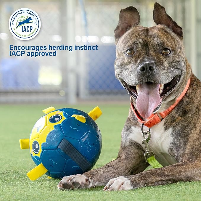 Race&Herd 8" Jolly Soccer Ball for Dogs - Tough Durable Dog Ball Toy with Straps, Pet Bouncy Herding Balls for Dogs, Floating Dog Balls with Tags for Water Fetch (BaaBaaBall, Mama Sheep)