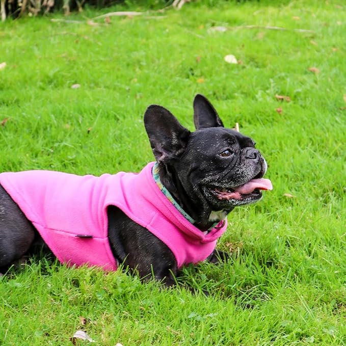 JACKO & CO - Fleece Vest Dog Sweater with Leash Ring - Soft, Warm & Lightweight Pullover Coat for Small & Medium Dogs, Puppies & Cats - Cozy Fall/Winter/Spring Pet Jacket (Pink, XS (2-4lbs))