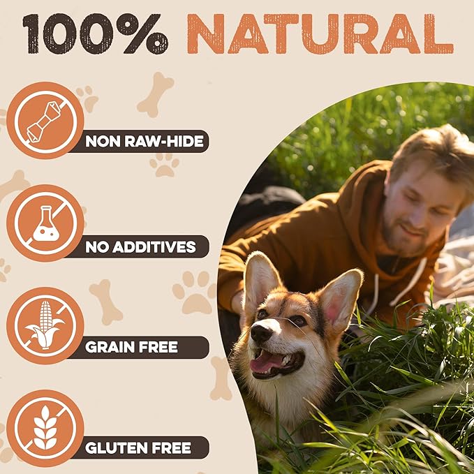 Premium Beef Cheek Rolls for Dogs 10-12" - (5-Pack) Long Lasting, Safe & Natural Rawhide Alternative Chews, Ideal for Large Dogs & Aggressive Chewers, Supports Dental Health & Digestion